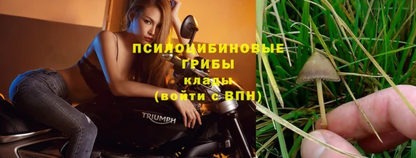 дмт Костерёво